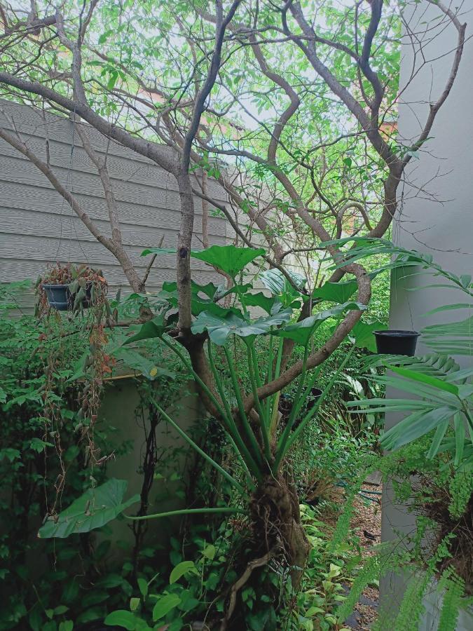 Sri Ngachang Chiang Mai Eksteriør billede